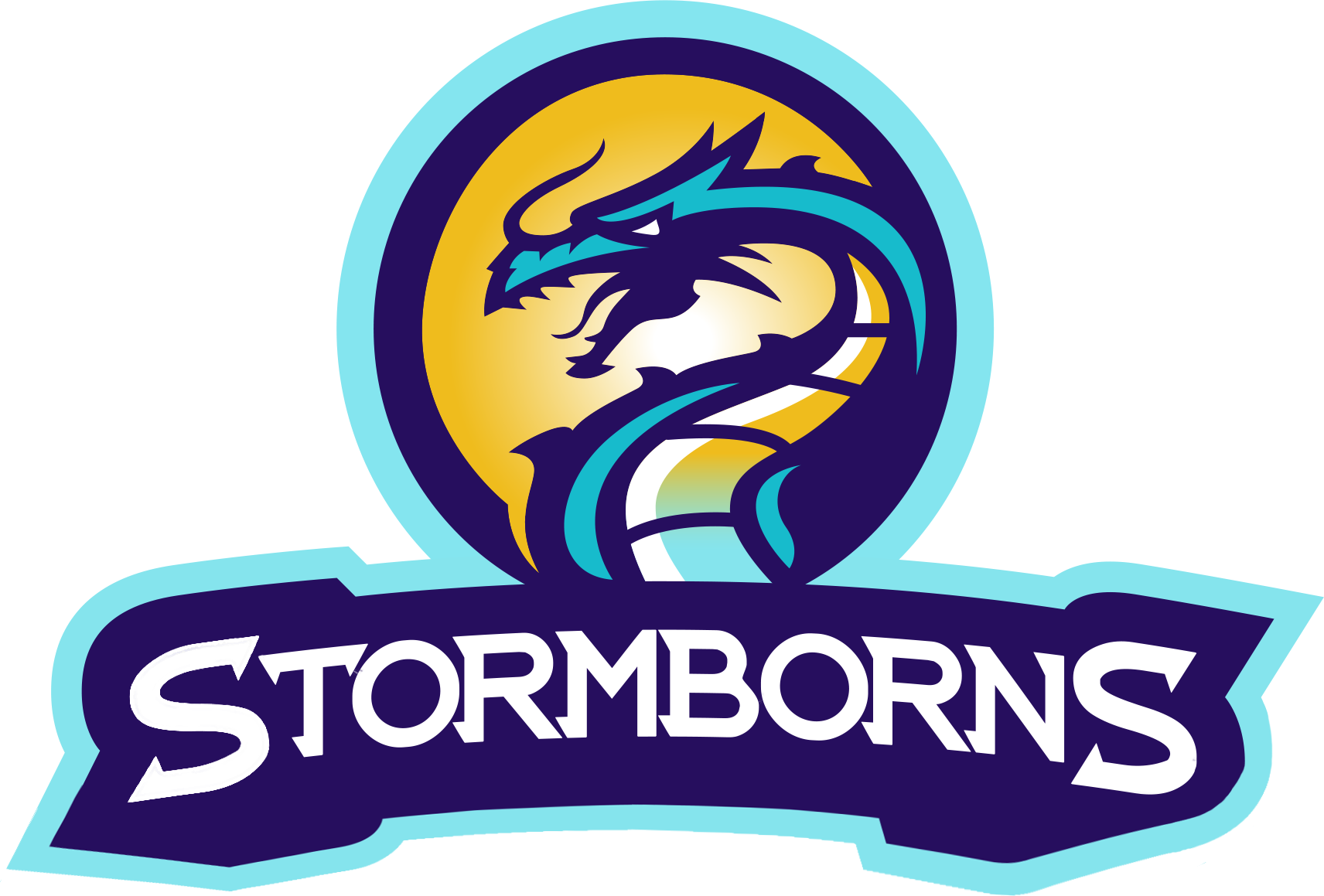 Stormborns Cs Go (1712x1159), Png Download