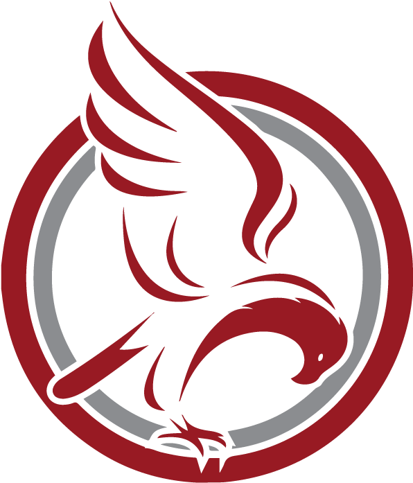 Hawkeyeandcircle - Powerdecal New Jersy Nets (612x718), Png Download