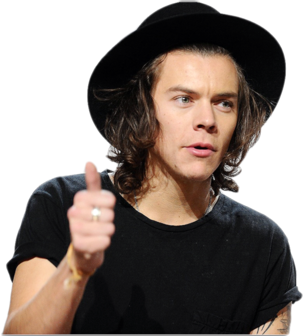 Harry Styles (1024x691), Png Download