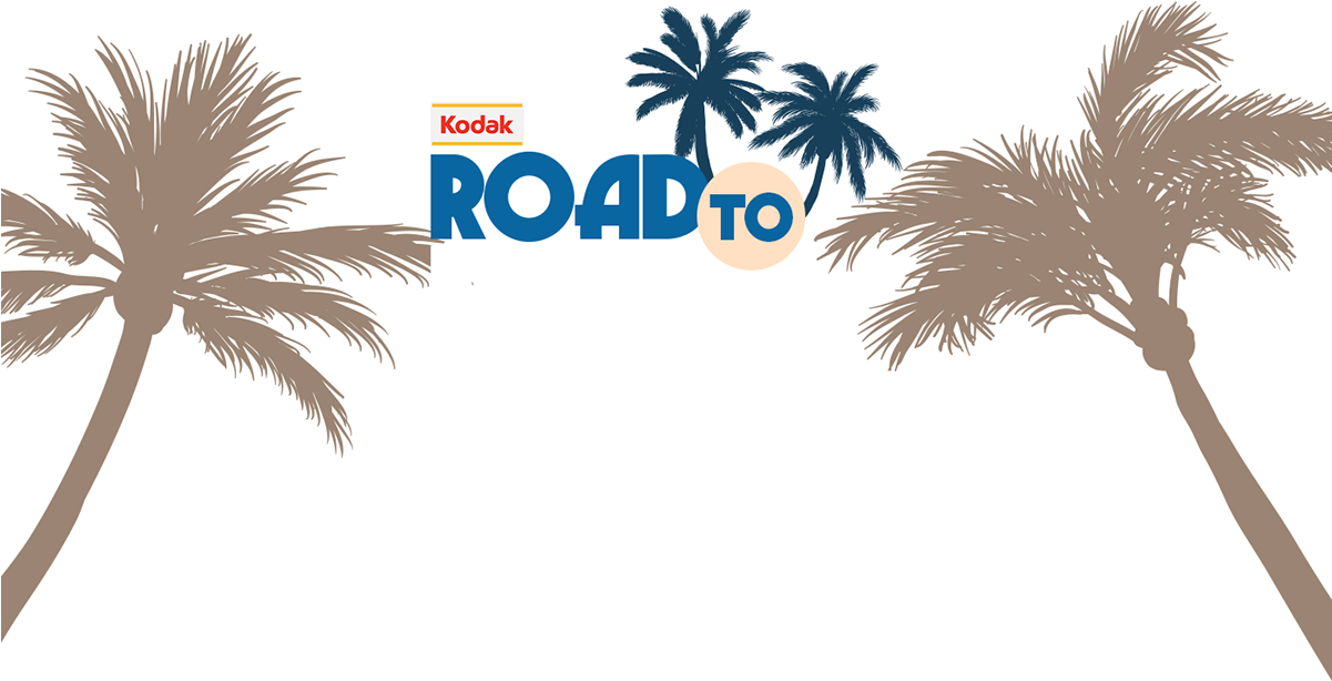 Kodak Road To Past - Blue Palm Trees Throw Blanket (1200x683), Png Download