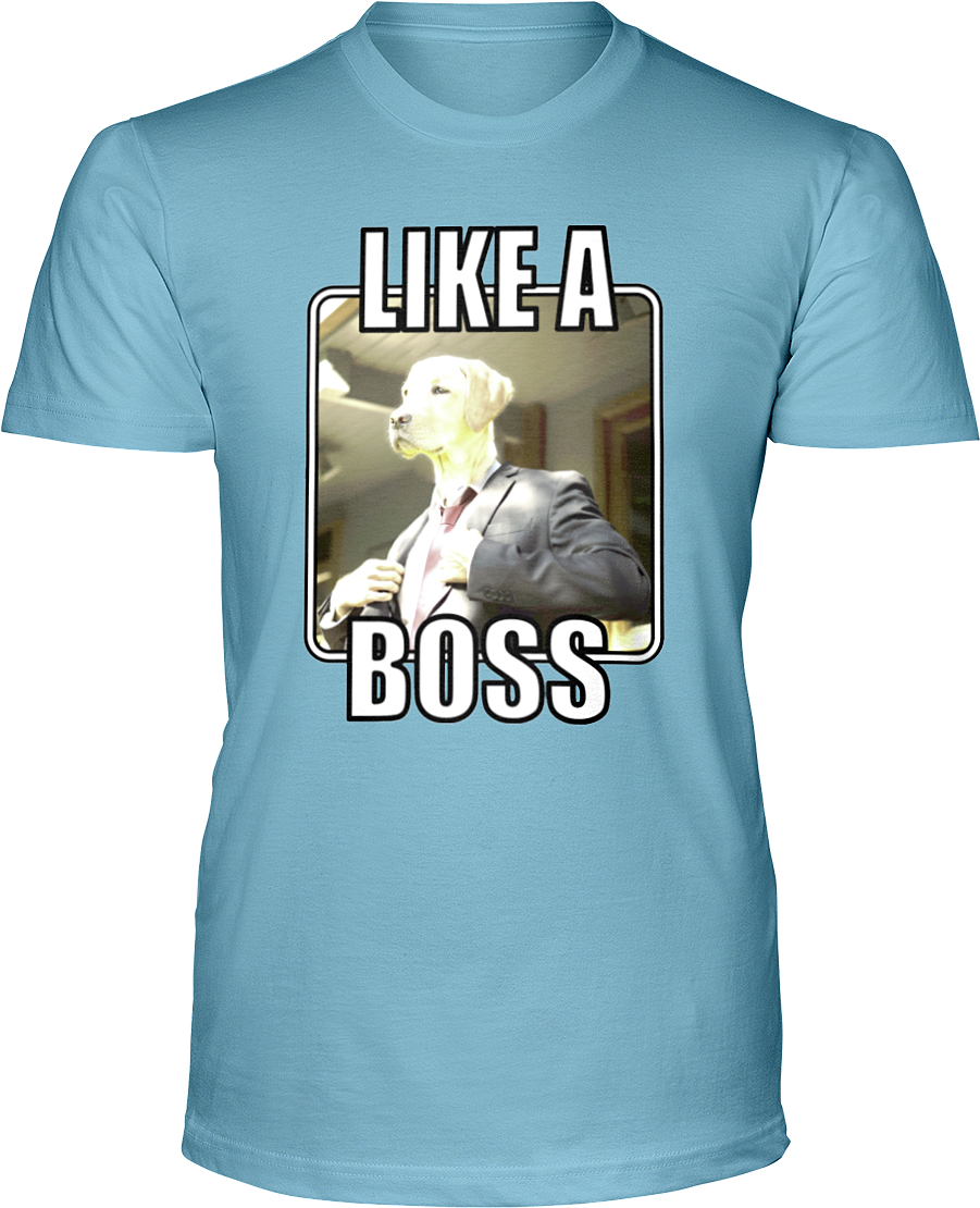 Like A Boss - Real Men Love Cats Tee (900x1125), Png Download