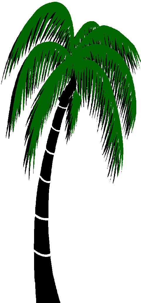 Graphics For Palm Trees Animated Graphics - Palm Tree 3d Gif (480x1031), Png Download