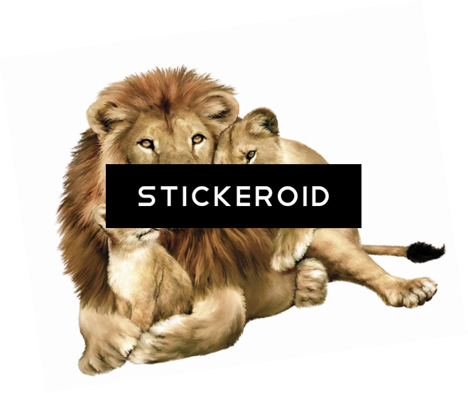 Gujarat Lions Logo - Lion Family (659x553), Png Download