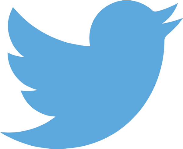 Twitter Logo (800x600), Png Download