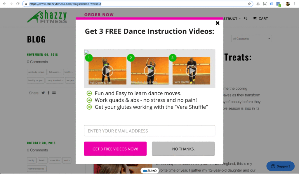 Shazzy Fitness Email Pop Up (1024x609), Png Download