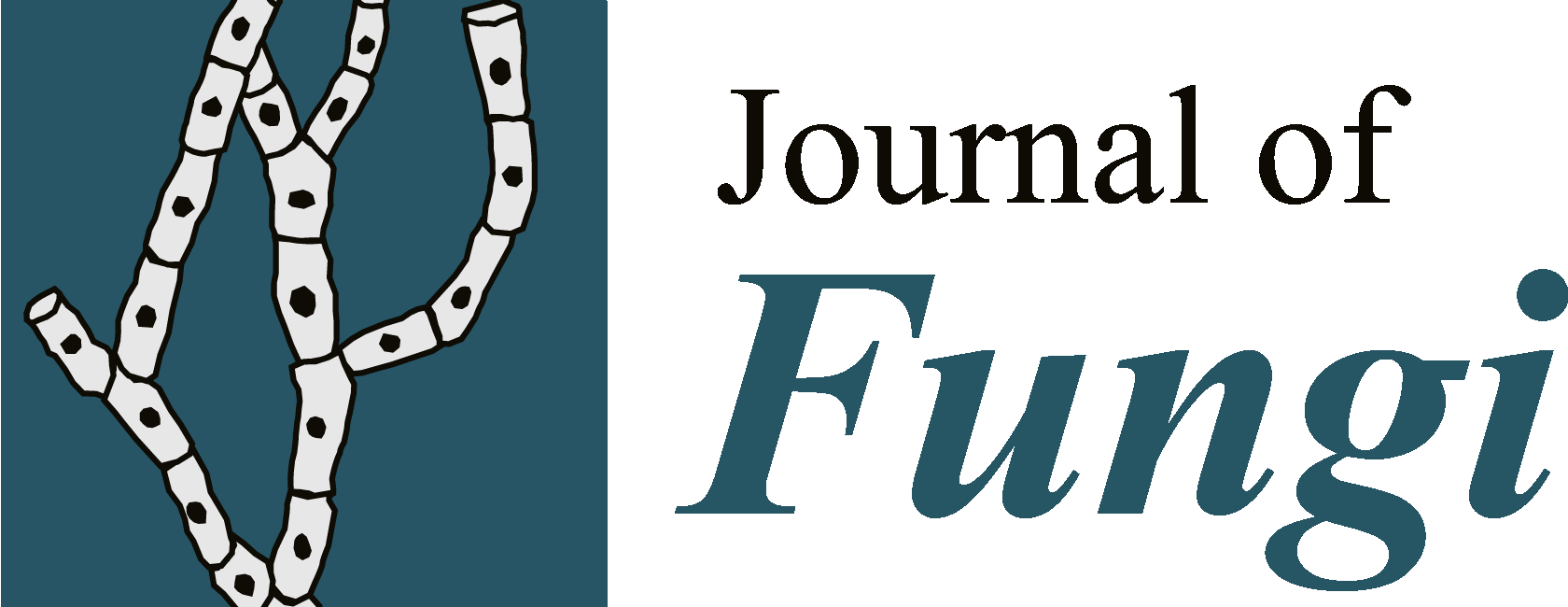 Border Collie Agility Ornament (round) (1680x650), Png Download