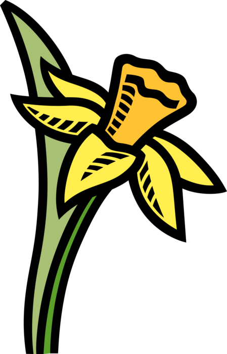 Vector Illustration Of Easter Pascha Daffodil Yellow - Short And Tall Trees (449x700), Png Download