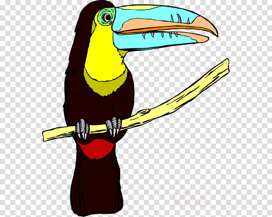 Bird Clipart Bird Toucan Clip Art - Toucan (900x720), Png Download