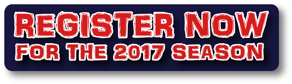 Teams - Carmine (1024x302), Png Download