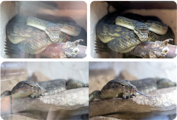 But That's Not Its Only Function - Lens Hood (680x462), Png Download