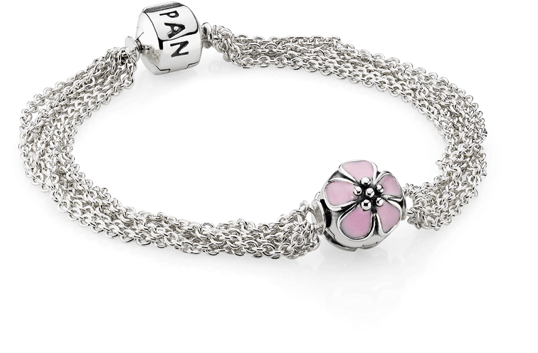 Pandora Moments Bracelet - Pandora Jewelry Bracelets Png (960x623), Png Download