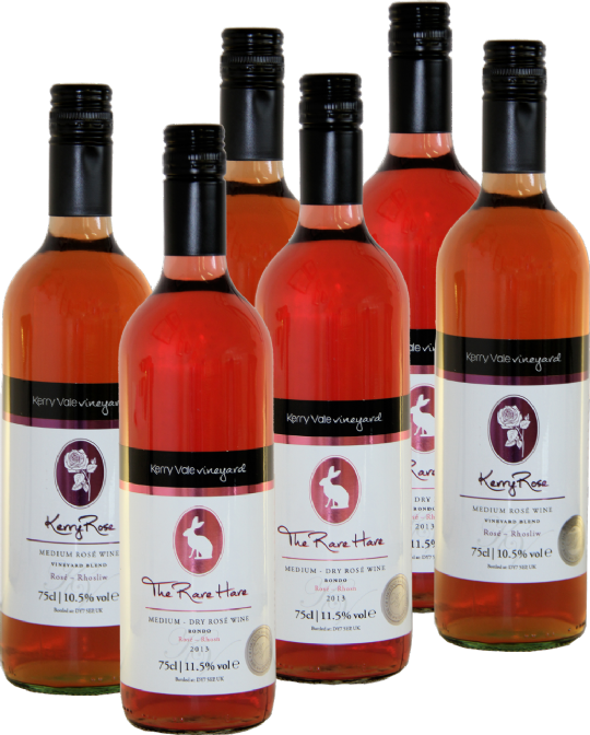 Rosé Mixed Case - Letter Case (540x672), Png Download