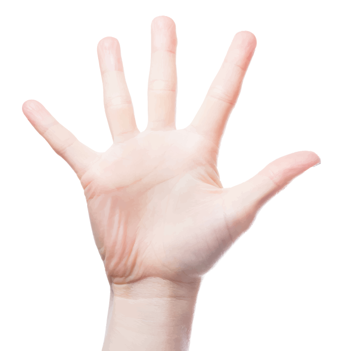 Tdg Hand - Hand (693x701), Png Download