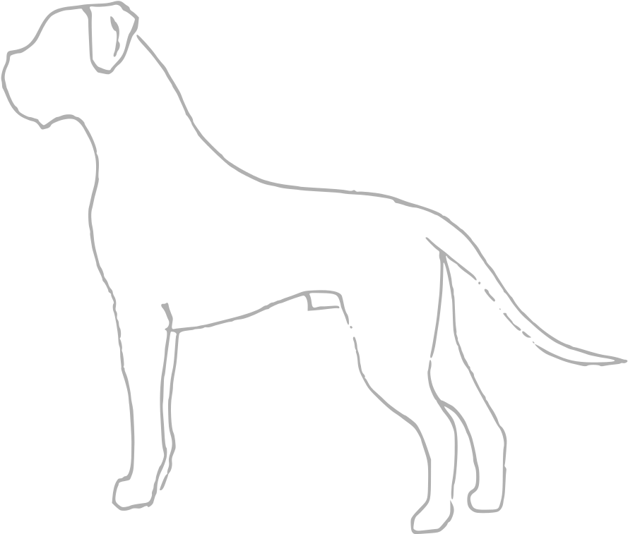 File - Boxer Scheme - Svg - Dogo Argentino (894x768), Png Download