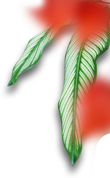 /byron-bay/contact/ - Illustration (467x754), Png Download