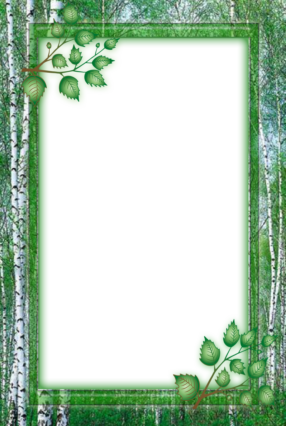 Pin By Jo Loie On Frames And Borders - Birch (1205x1795), Png Download