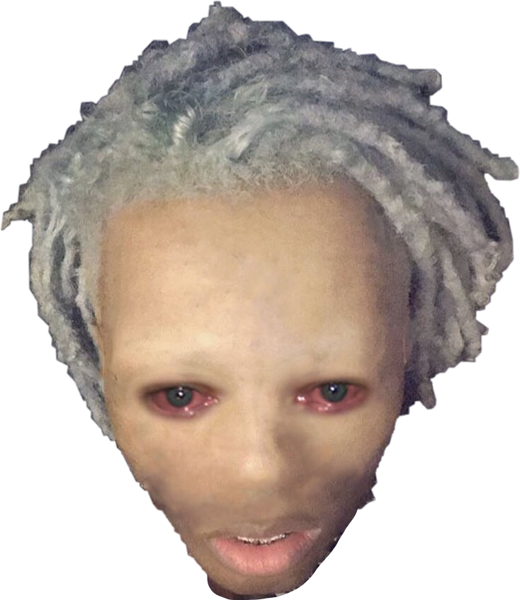 Xxxtentacion Face Png - Xxxtentacion Meme Face (734x848), Png Download