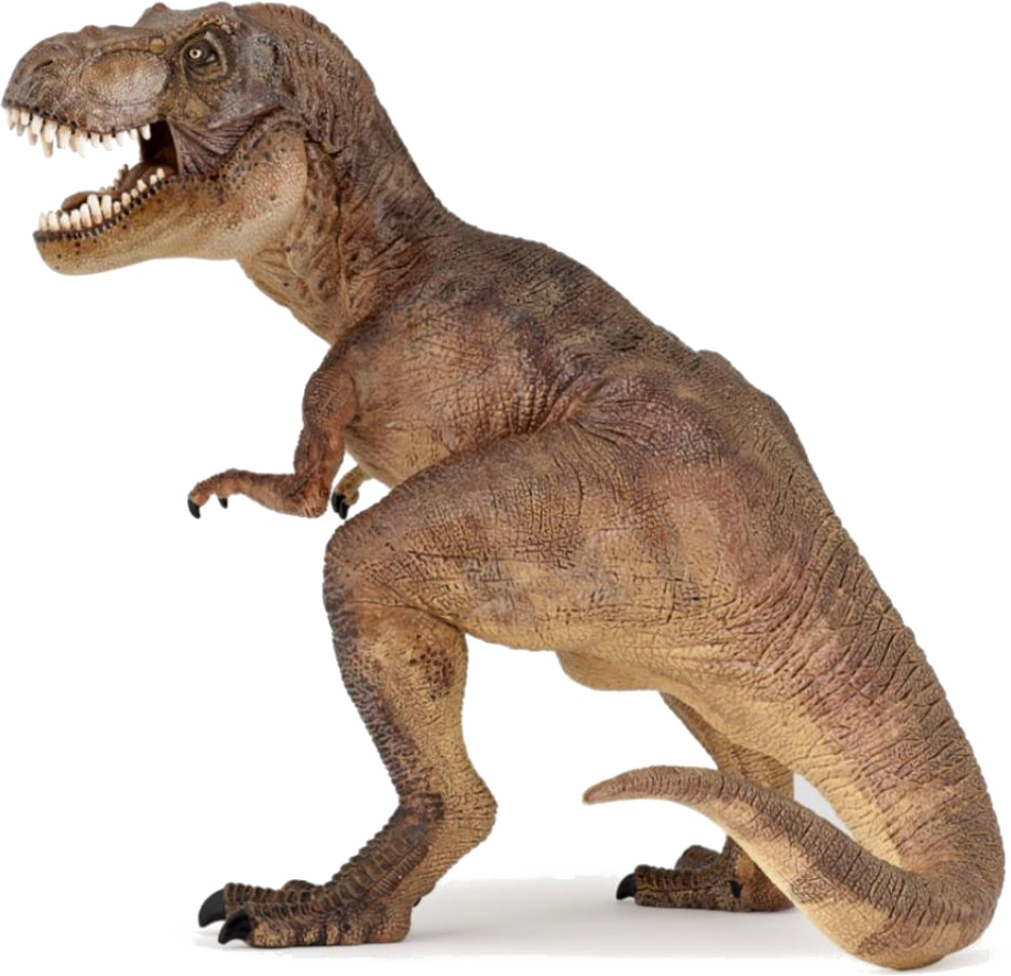 T Rex Png Picture - T-rex (papo Figurine) (800x772), Png Download