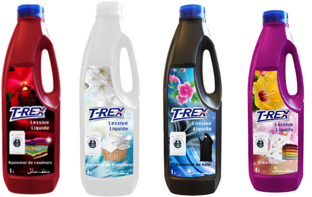 T Rex Lave Linge - Washing Machine (800x600), Png Download