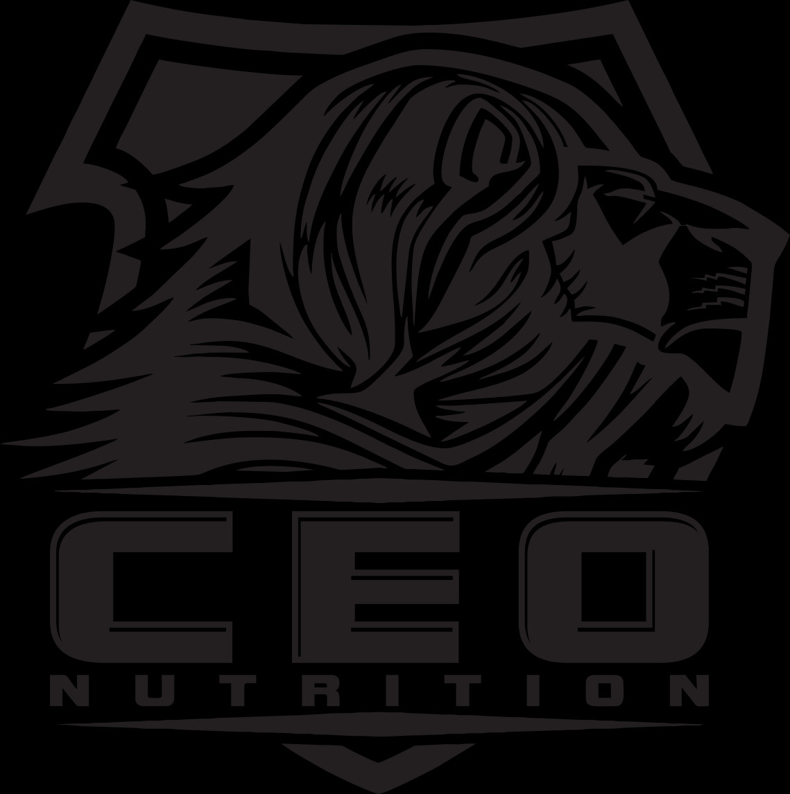 Kingdom Conquest (980x950), Png Download