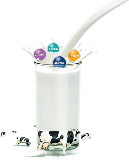 Made With 100% Milk From New Zealand - Milk (522x638), Png Download