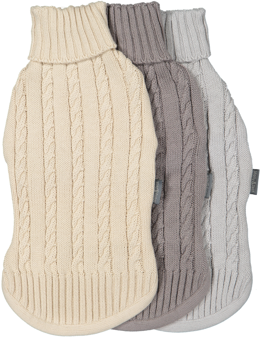 Dog Pullover - Dog (900x1168), Png Download