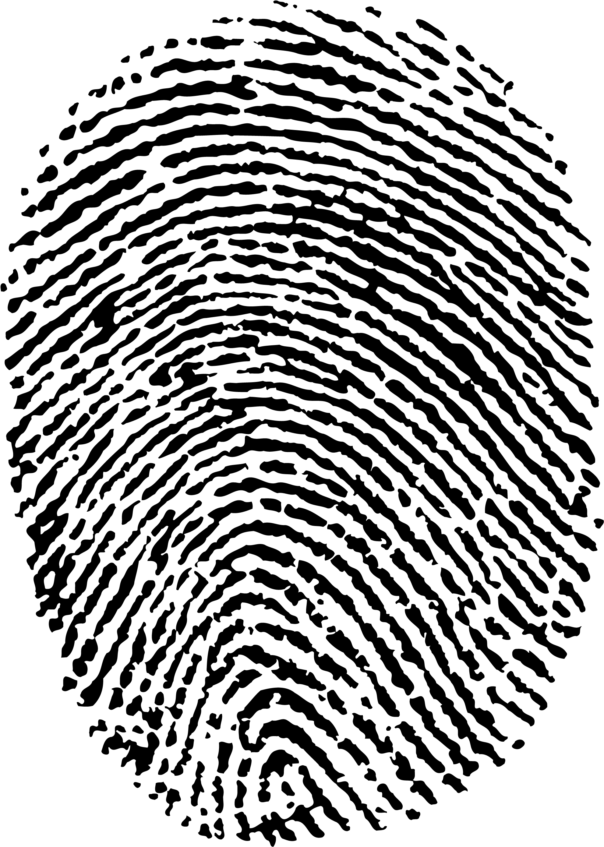 Fingerprint (2000x2800), Png Download