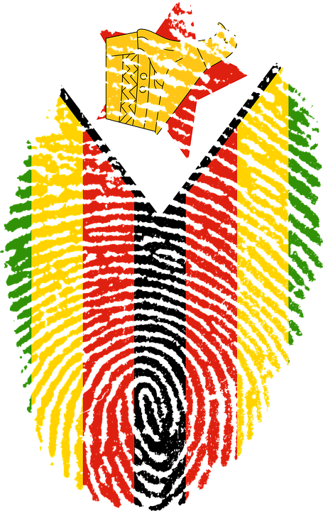 Zimbabwe, Flag, Fingerprint, Country, Pride, Identity - Zimbabwe Flag Fingerprint (455x720), Png Download
