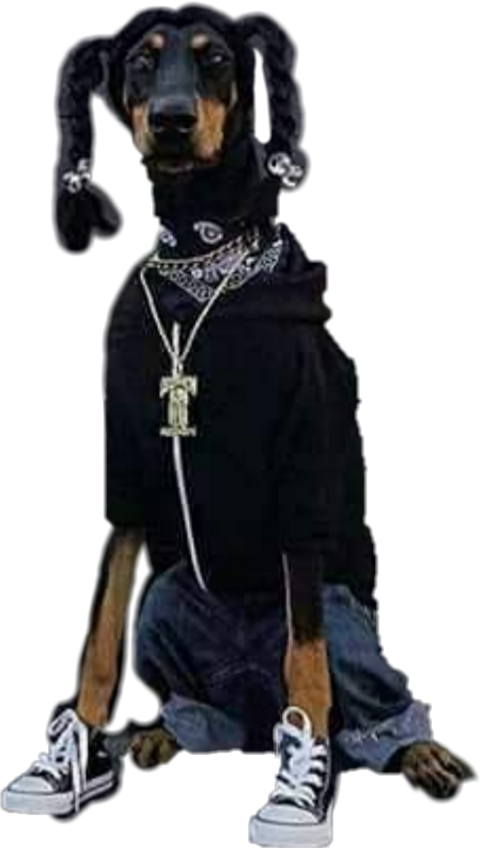 Snoop Dogg (480x848), Png Download