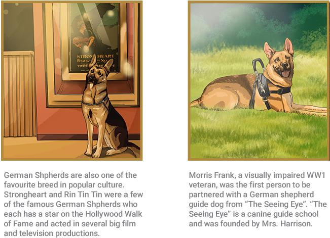 German Shepherd (674x587), Png Download
