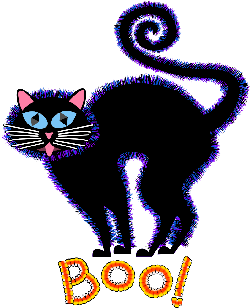Fullscreen Rollover To Zoom - Cat (1000x1000), Png Download