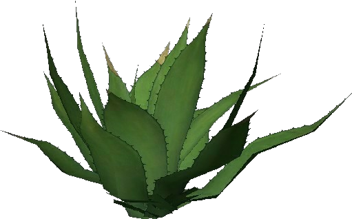 Plantas 3d - Agave Americana - Agave Tequilana (750x527), Png Download