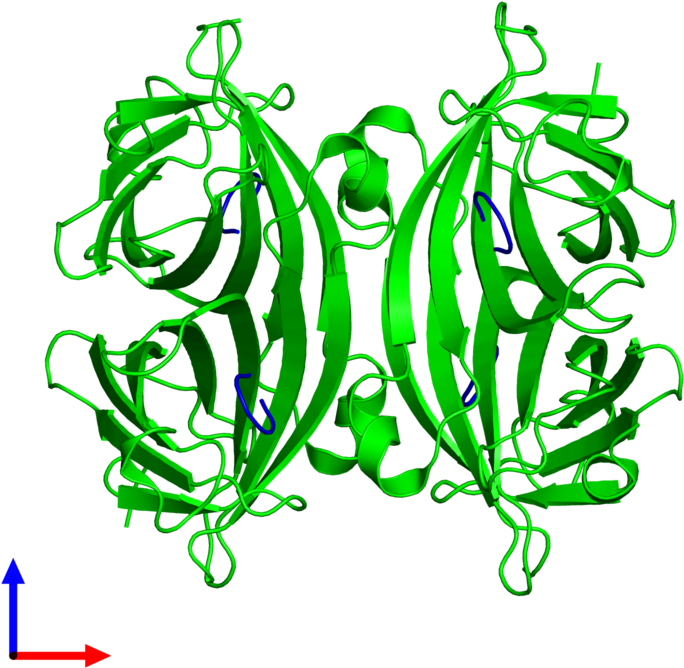 Octameric Assembly 3 Of Pdb Entry 5n99 Coloured By - Illustration (800x800), Png Download