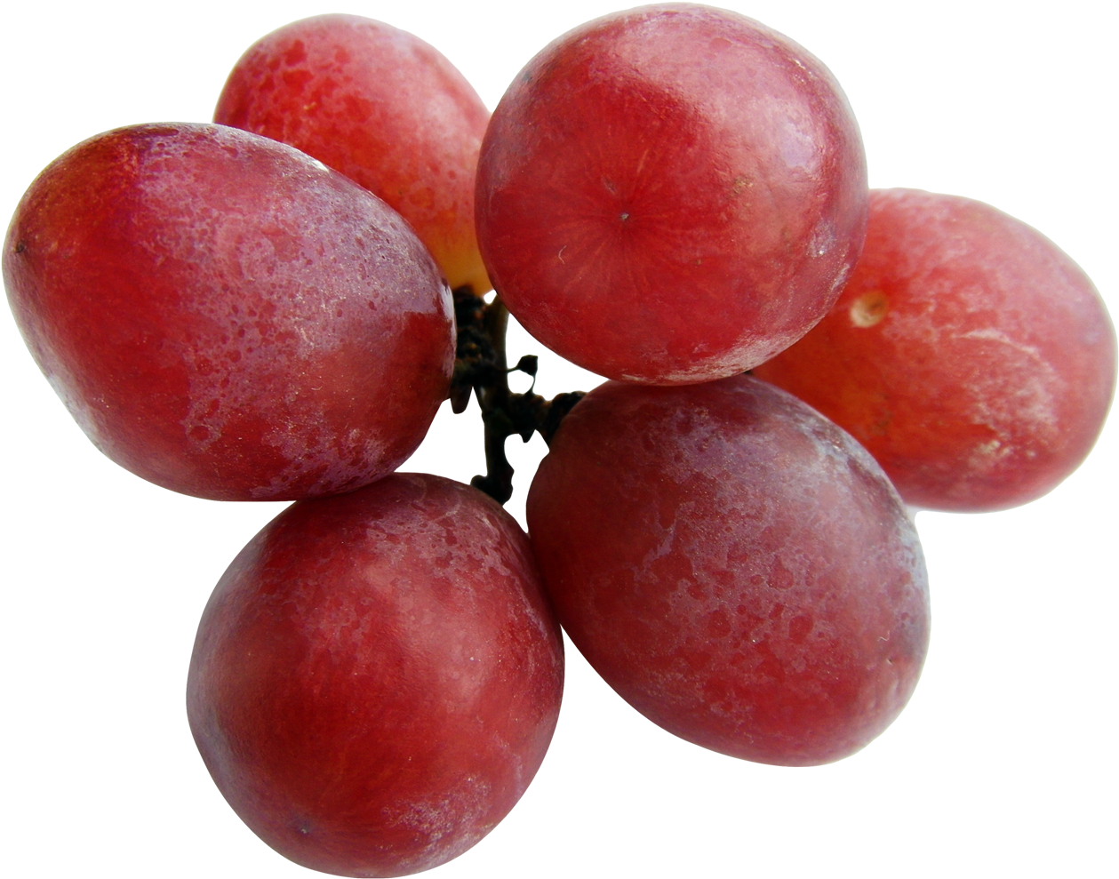 1378 X 1084 - Grapes Png (1378x1084), Png Download