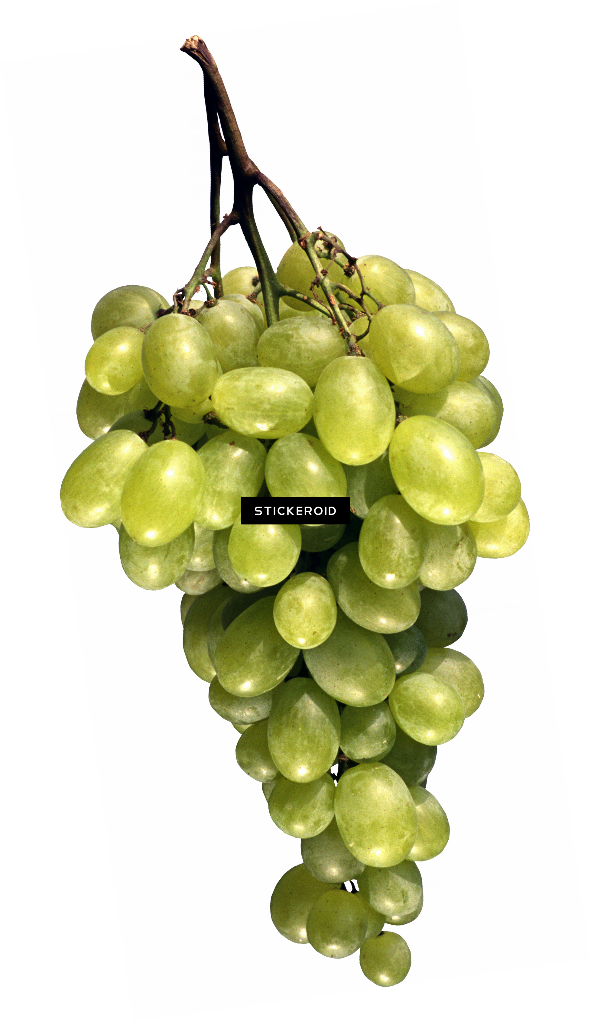 Grape (1955x3381), Png Download