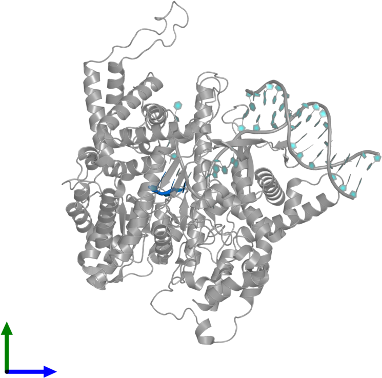 <div Class='caption-body'>pdb Entry 1qln Contains 1 - Graphic Design (800x800), Png Download