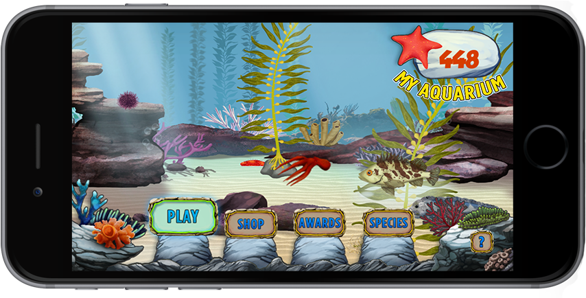 The Kelp Forest Game - Monterey Bay Aquarium (891x433), Png Download