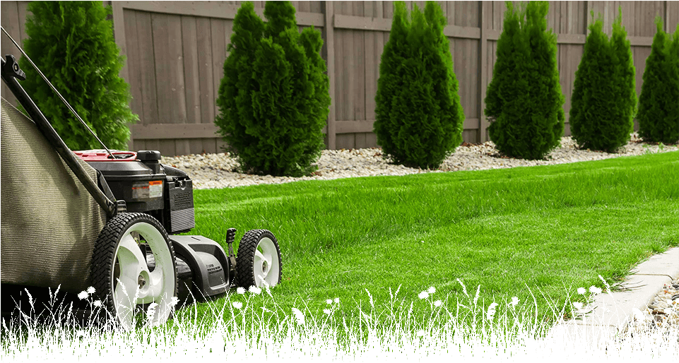 Jardineria Y Mantenimiento De Áreas Verdes (960x540), Png Download