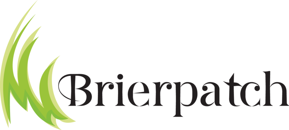 Jumping Tiger Png (1000x450), Png Download