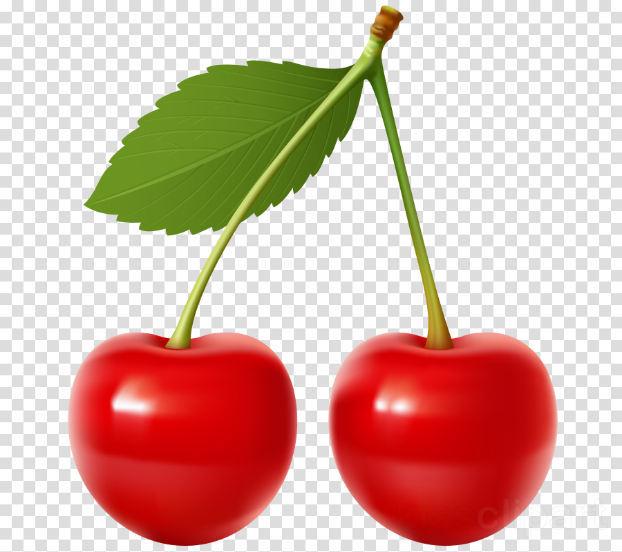 Cherry Pie Drawing Png Free Transparent Png 2048631 vrogue.co