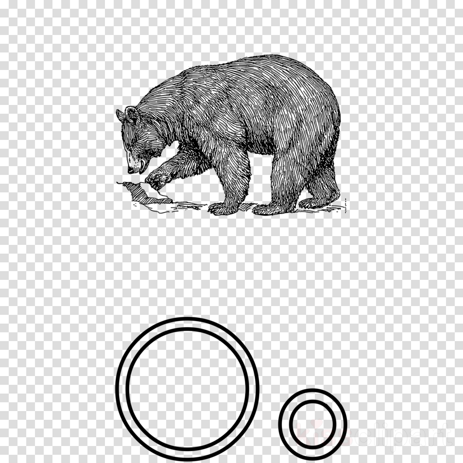 Black Bear Drawing Clipart American Black Bear Giant - Bear Template Pillow Case (900x900), Png Download