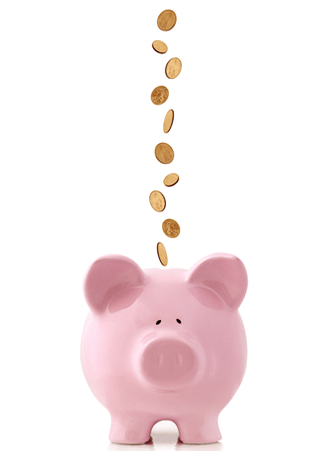 Domestic Pig (1200x450), Png Download