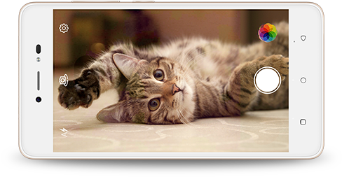 Lava Z60 - Happy Cat (600x600), Png Download