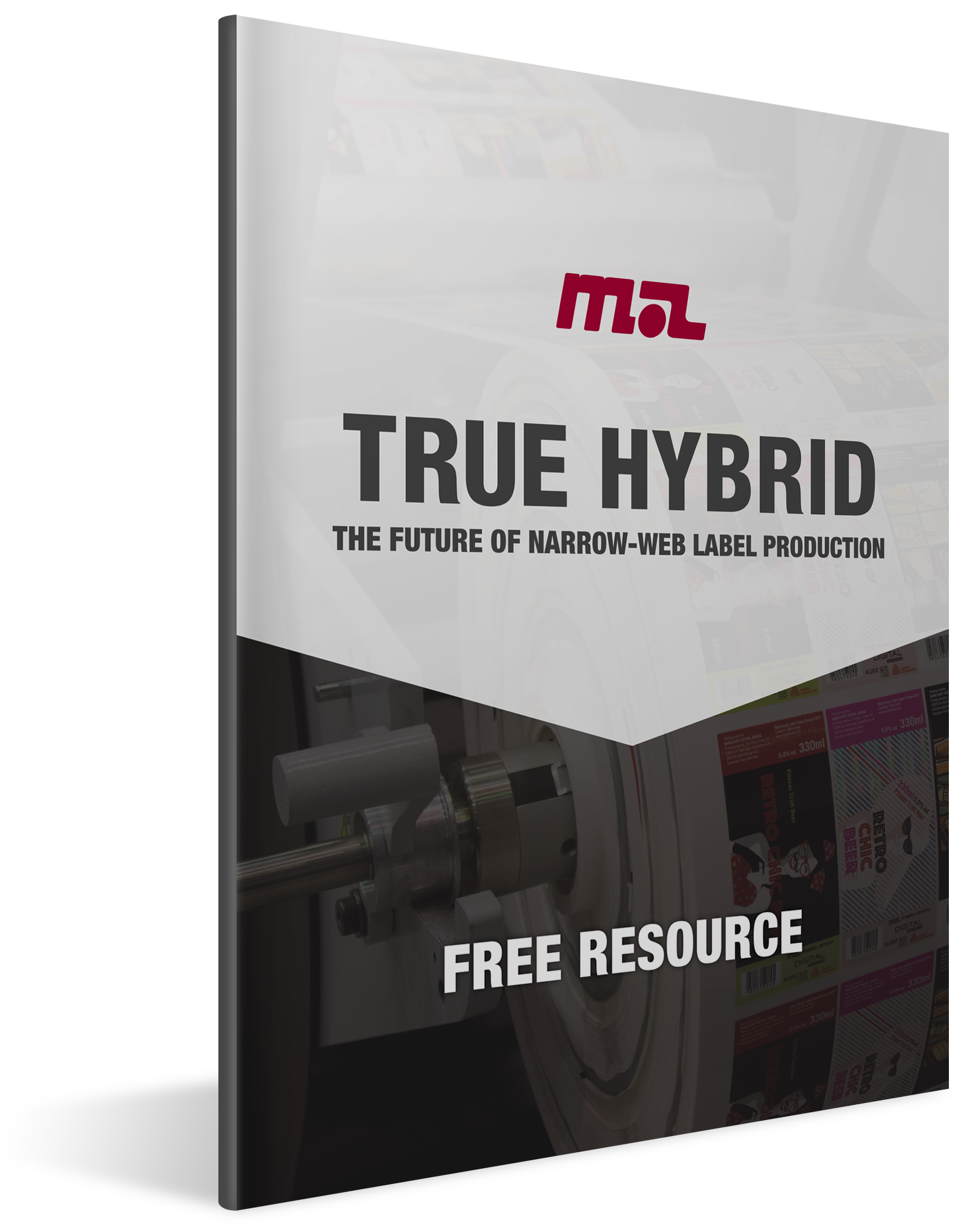 True-hybr#ebook - Airsoft Gun (2400x2400), Png Download