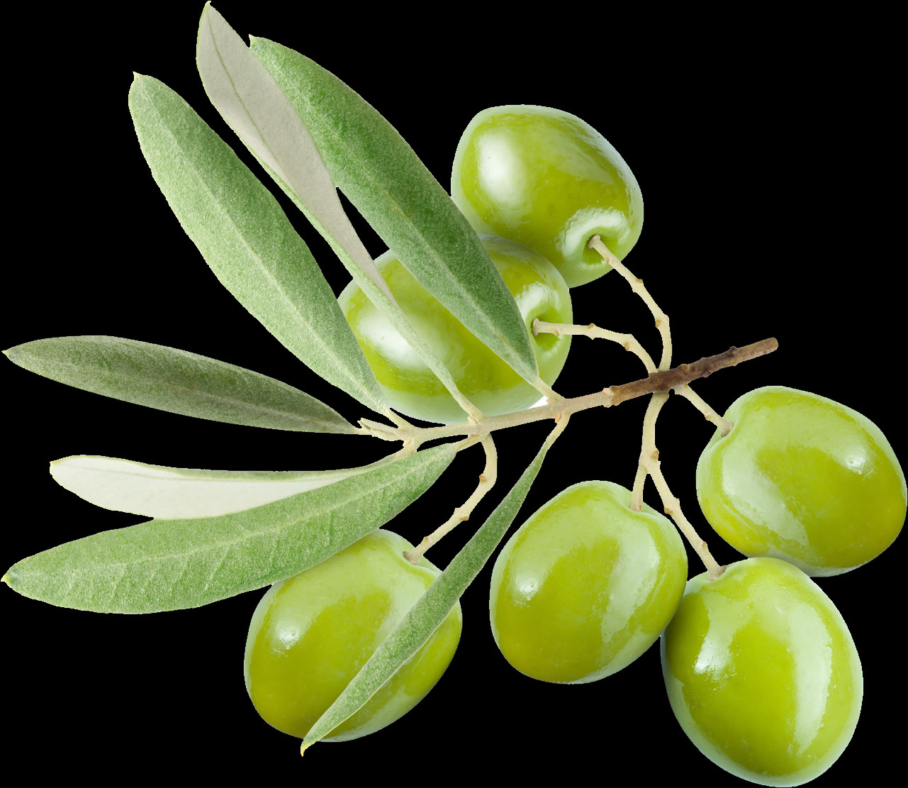 The Top Free Png Stock Image Site On The Web - Olive (1281x1111), Png Download