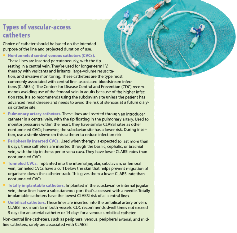 Evidence-based Guidelines For Clabsi Reduction - Untitled, Tailpiece, Pg. 27, In The Book Dingo By Octave (765x752), Png Download