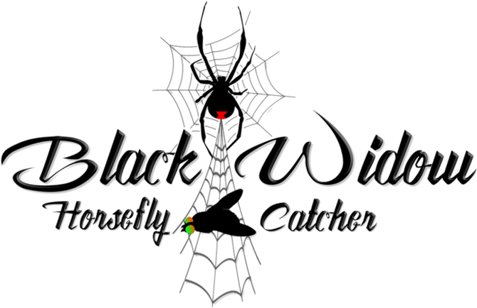 Black Widow Png (1000x467), Png Download