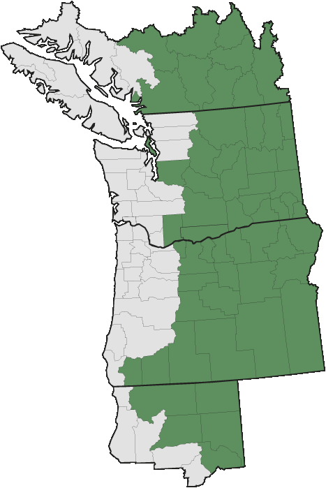 More Information - - Pacific Northwest Map Black (467x699), Png Download