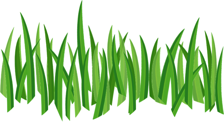 Png For Tubes Texture - Grass Icon Png (764x416), Png Download