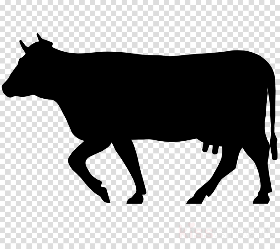 Cow Icon Png Clipart Beef Cattle Welsh Black Cattle - Beef Cattle (900x800), Png Download